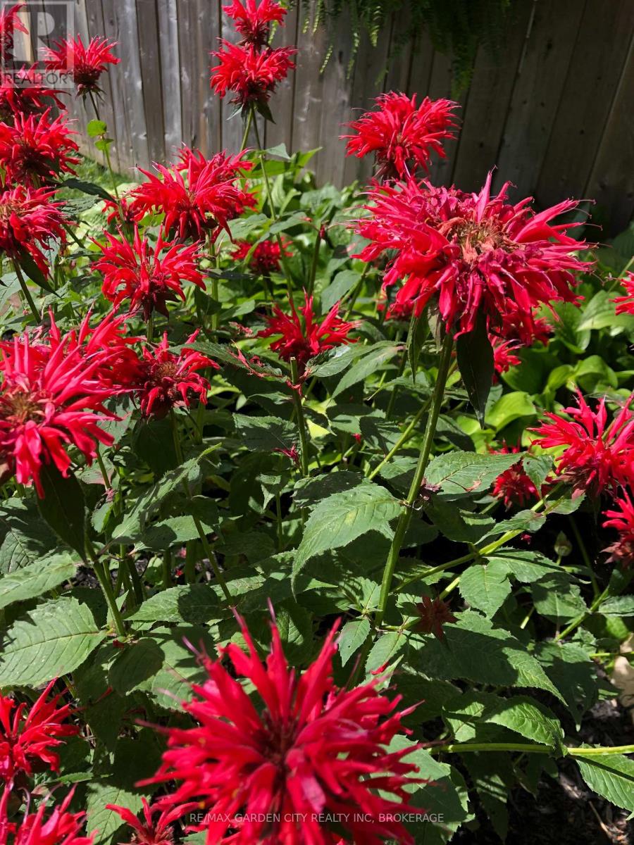 171 Lakeshore Road, St. Catharines, Ontario  L2N 2V2 - Photo 43 - X13053936