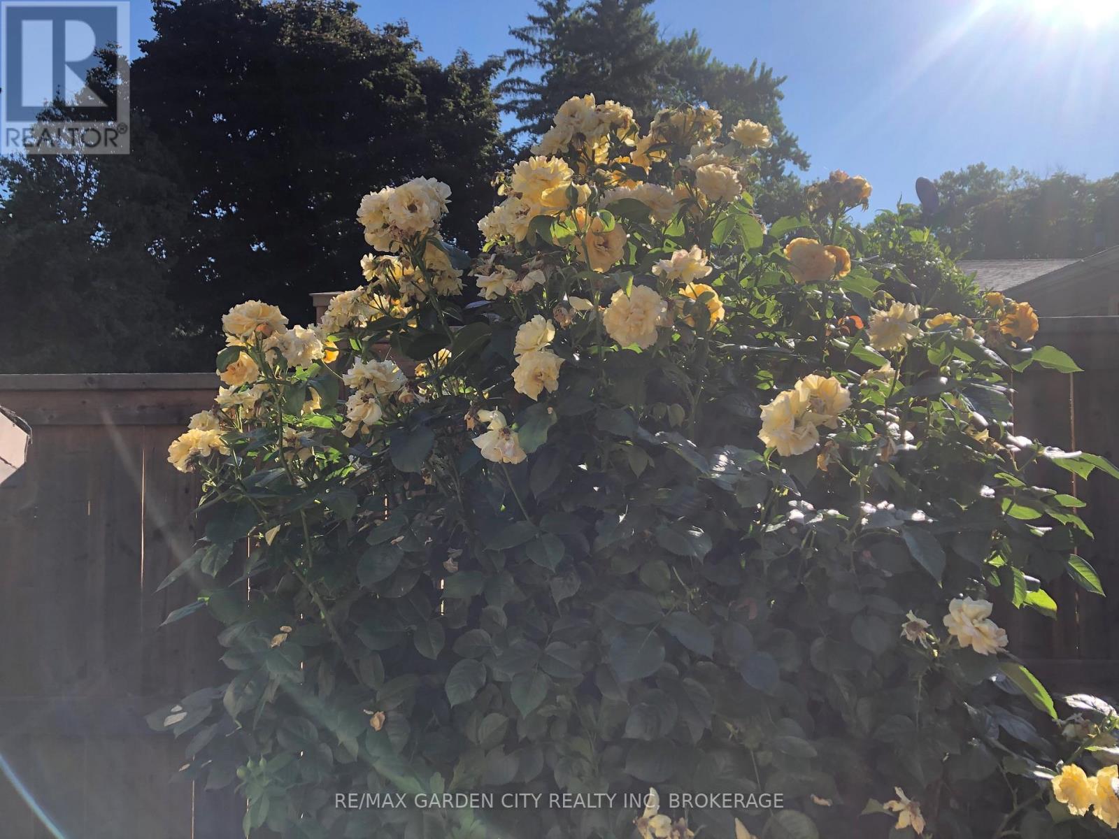 171 Lakeshore Road, St. Catharines, Ontario  L2N 2V2 - Photo 44 - X13053936