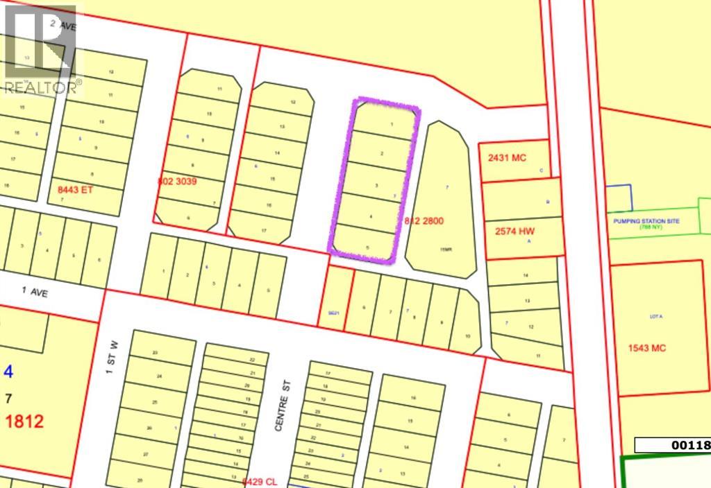 5002 50 Street, Dewberry, Alberta  T0B 1G0 - Photo 3 - A2113269