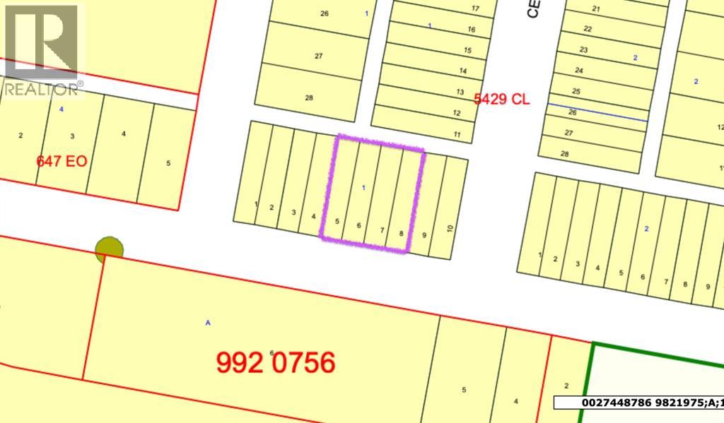 4910 49 Avenue, Dewberry, Alberta  T0B 1G0 - Photo 10 - A2113270