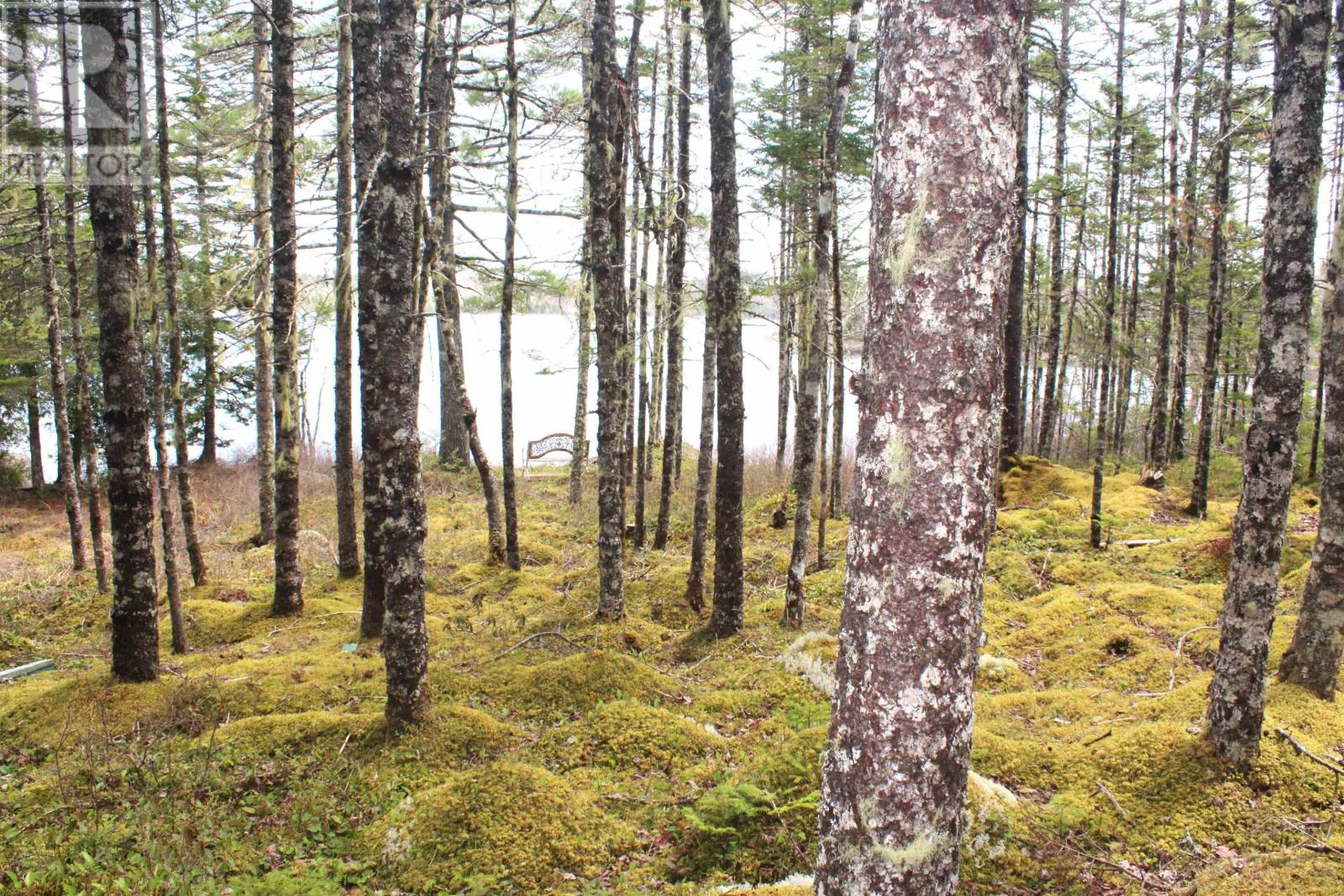 1a Lake Charlotte, Upper Lakeville, Nova Scotia  B0J 1P0 - Photo 12 - 202511085