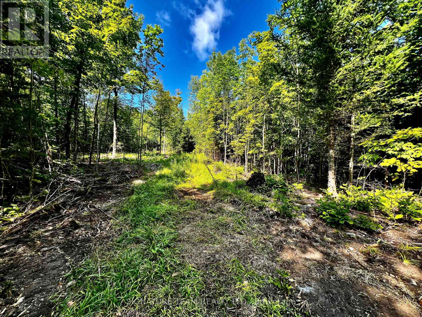 0 Nordic Lane, Brudenell, Ontario  K0J 2A0 - Photo 21 - X13056606