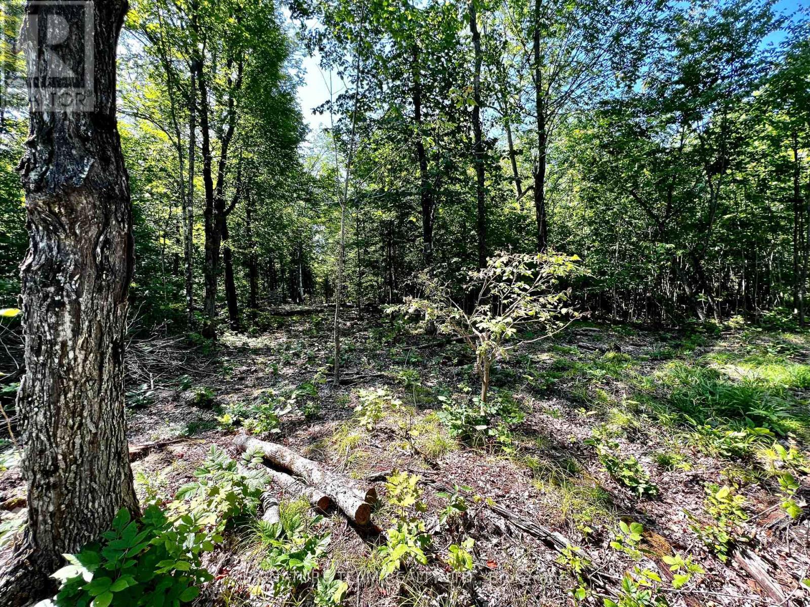 0 Nordic Lane, Brudenell, Ontario  K0J 2A0 - Photo 22 - X13056606