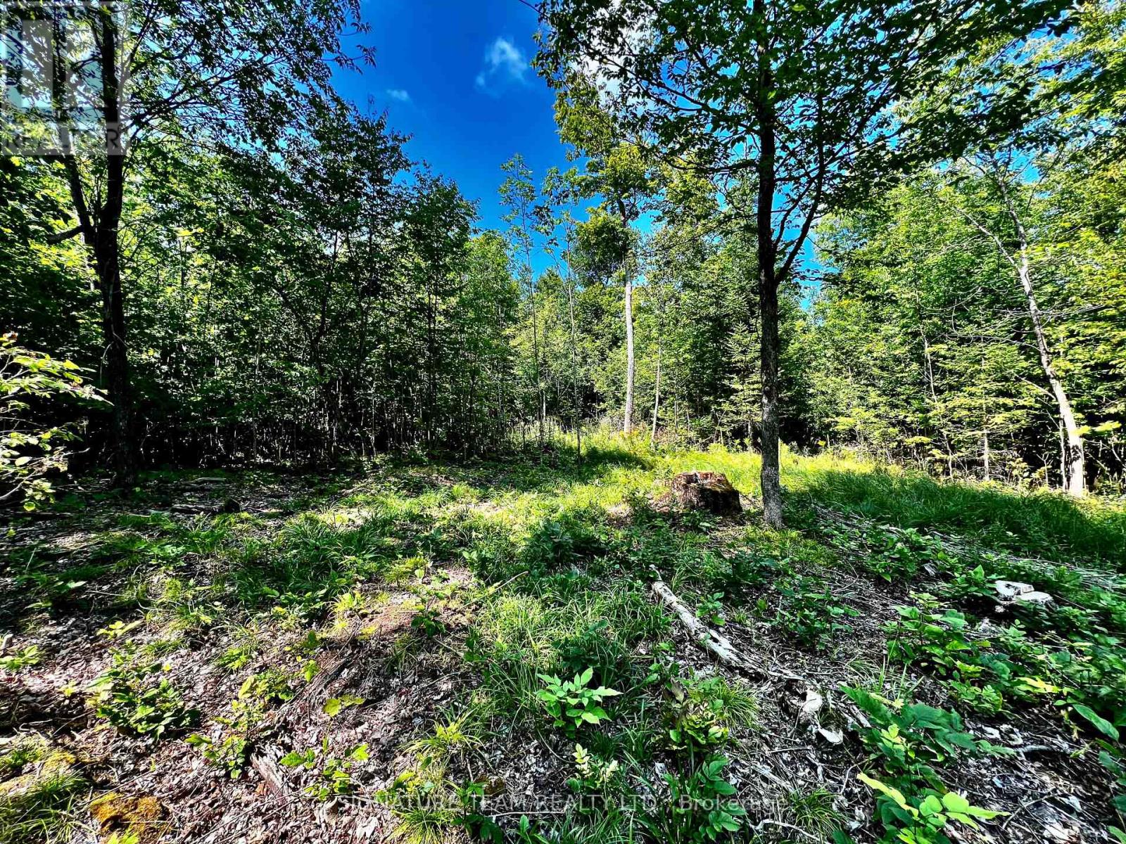 0 Nordic Lane, Brudenell, Ontario  K0J 2A0 - Photo 23 - X13056606