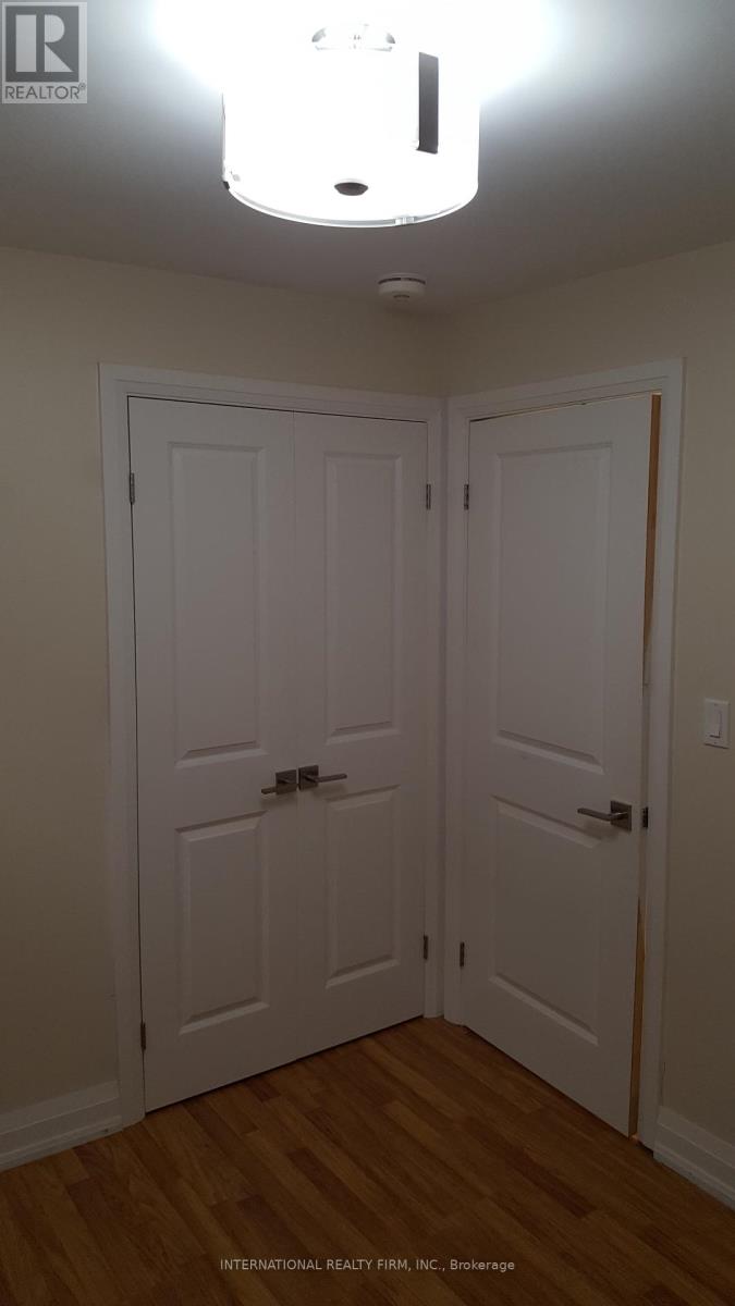 Lower - 24 Duggan Avenue, Toronto, Ontario  M4V 1Y2 - Photo 10 - C13056744