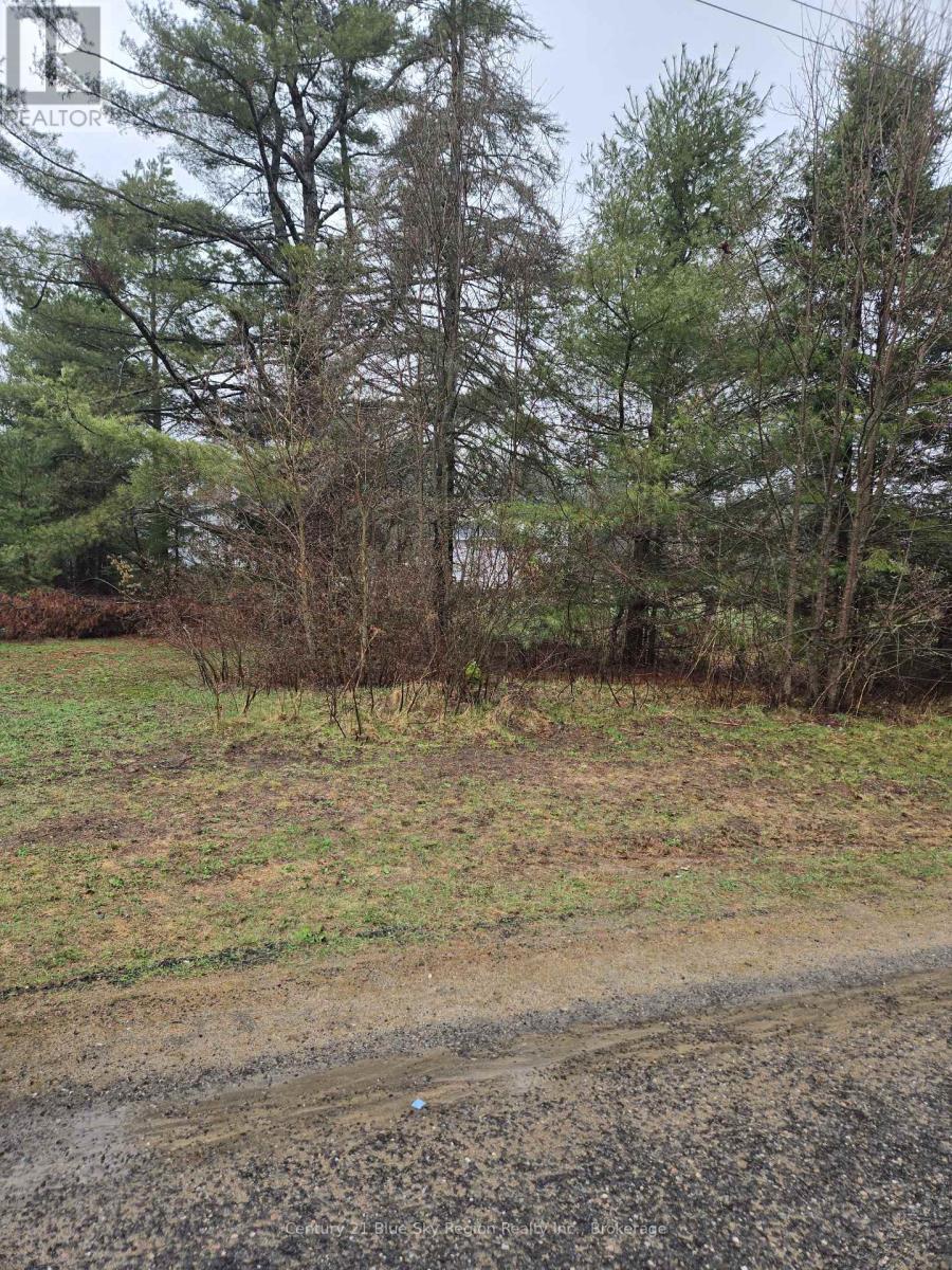 14 Mccrandle Street, Perry, Ontario  P0A 1J0 - Photo 1 - X13056748