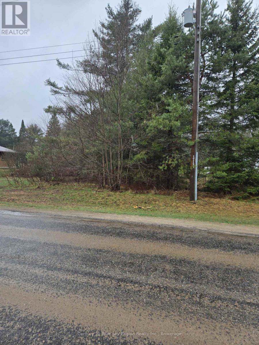 14 Mccrandle Street, Perry, Ontario  P0A 1J0 - Photo 3 - X13056748