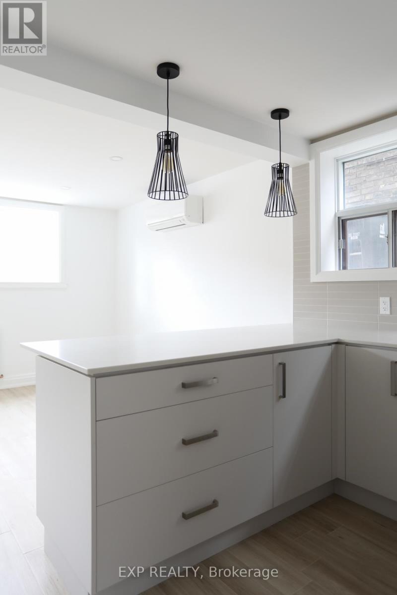 Lower Level - 73 Balfour Avenue, Toronto, Ontario  M4C 1T4 - Photo 6 - E13056622