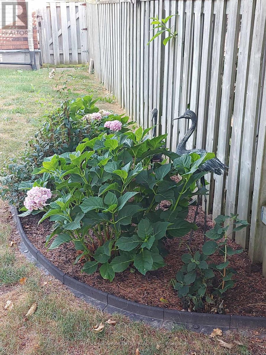 10 Archer Crescent, Springwater (Elmvale), Ontario  L0L 1P0 - Photo 35 - S13056658