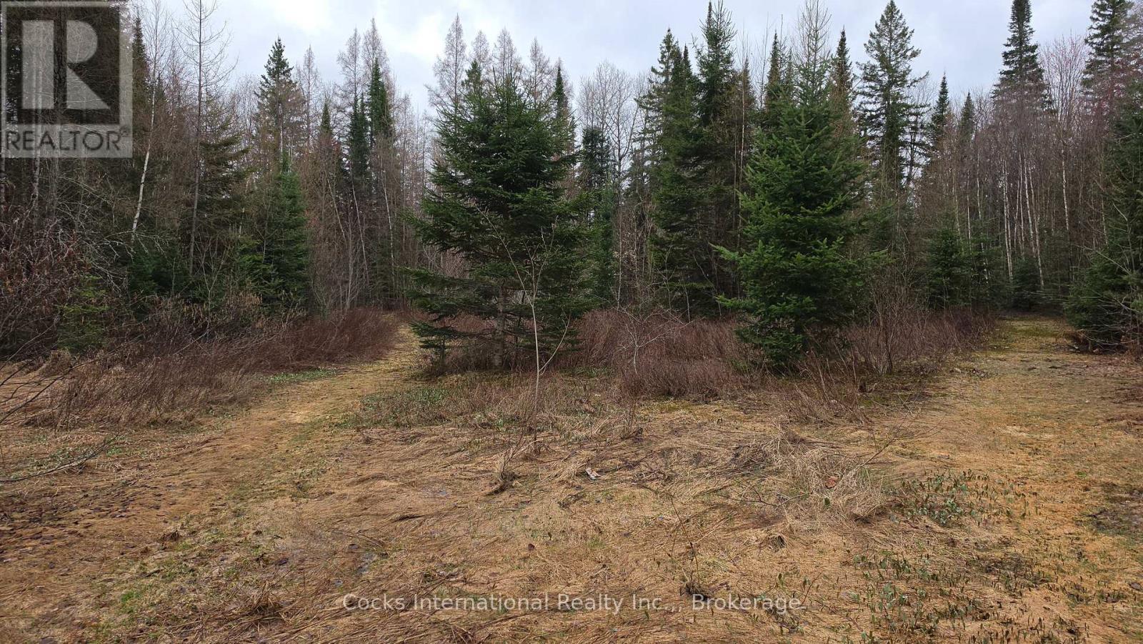 44 Expressway Road, Perry, Ontario  P0A 1J0 - Photo 26 - X12548048