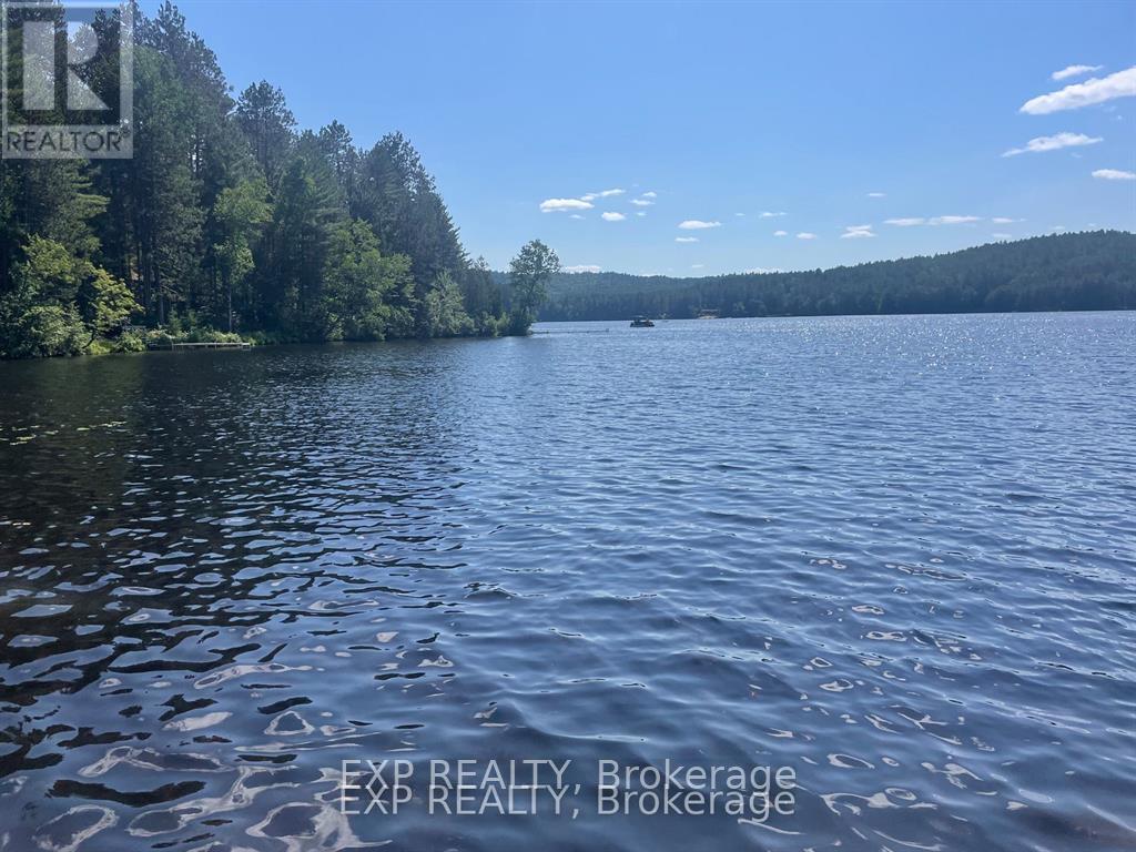 19 Gorny Lane, Madawaska Valley, Ontario  K0J 1B0 - Photo 10 - X13057062