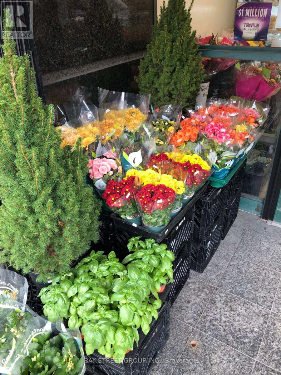 497 Church Street, Toronto, Ontario  M4Y 2C6 - Photo 8 - C12708634