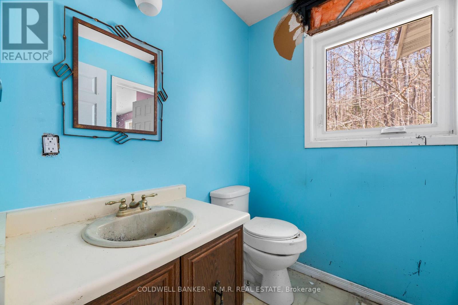 6200 Concession 4 Road, Uxbridge, Ontario  L0C 1A0 - Photo 20 - N13057008