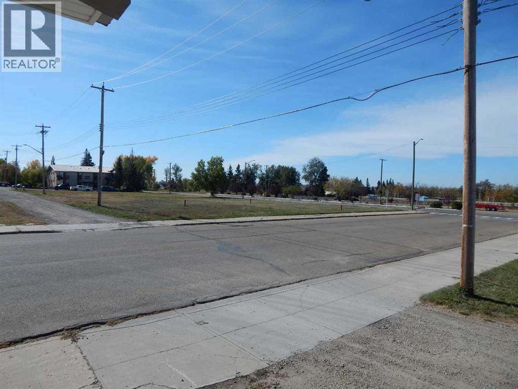 2012 20 Avenue, Bowden, Alberta  T0M 0K0 - Photo 26 - A2259673
