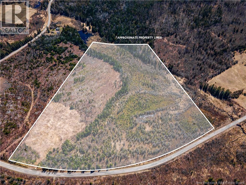 Lot Poodiac Road, Poodiac, New Brunswick  E4E 4H5 - Photo 1 - NB138158