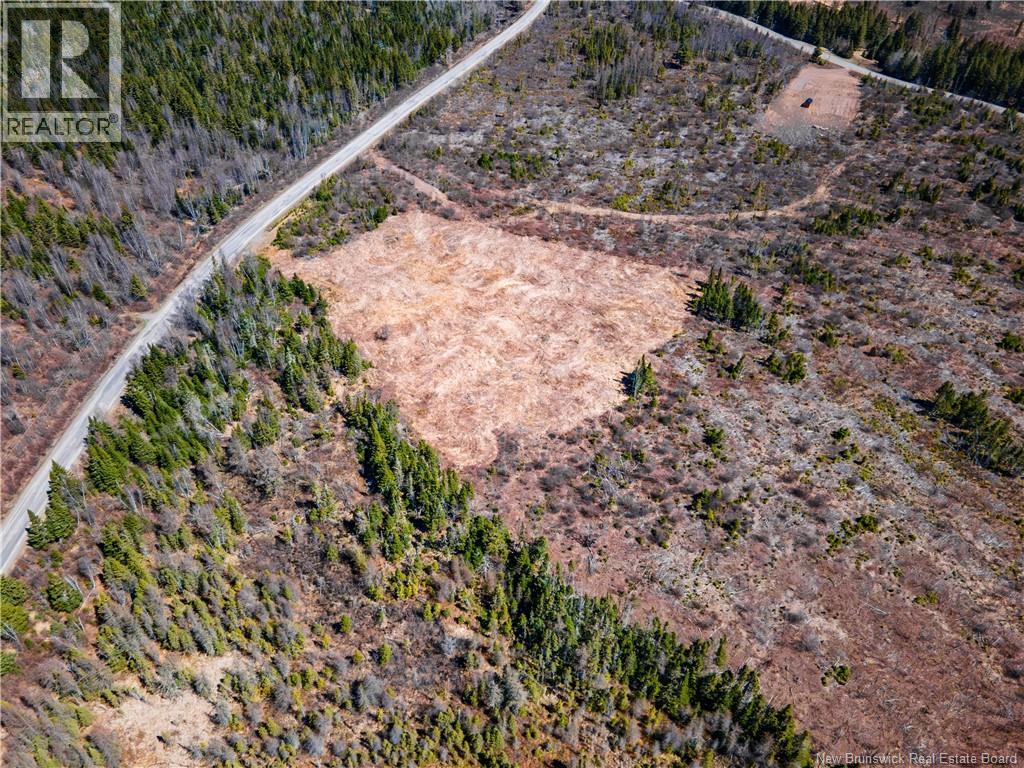 Lot Poodiac Road, Poodiac, New Brunswick  E4E 4H5 - Photo 4 - NB138158