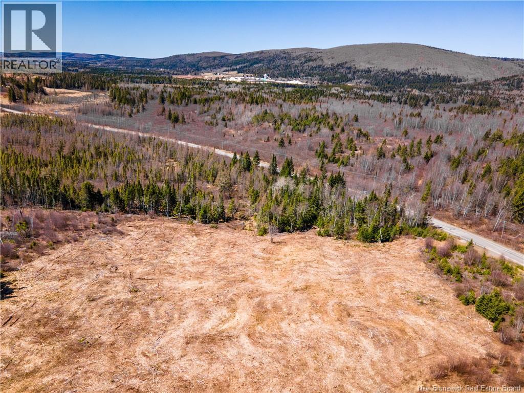 Lot Poodiac Road, Poodiac, New Brunswick  E4E 4H5 - Photo 5 - NB138158