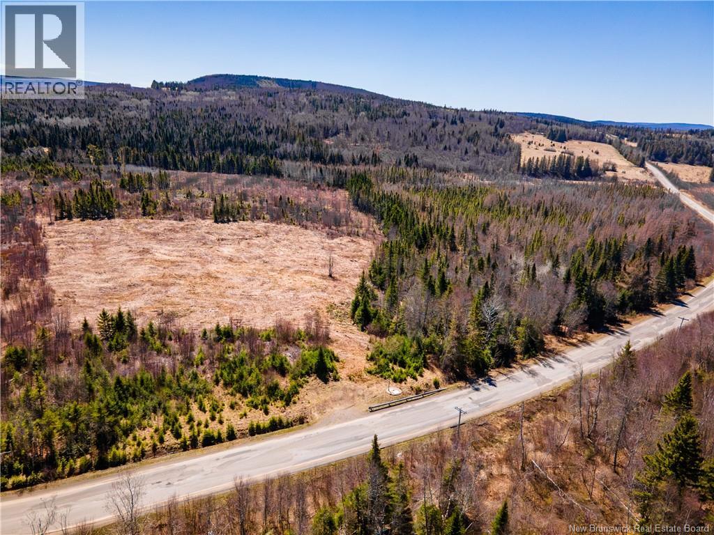 Lot Poodiac Road, Poodiac, New Brunswick  E4E 4H5 - Photo 6 - NB138158