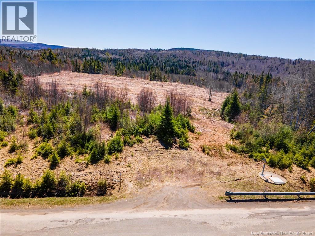 Lot Poodiac Road, Poodiac, New Brunswick  E4E 4H5 - Photo 7 - NB138158