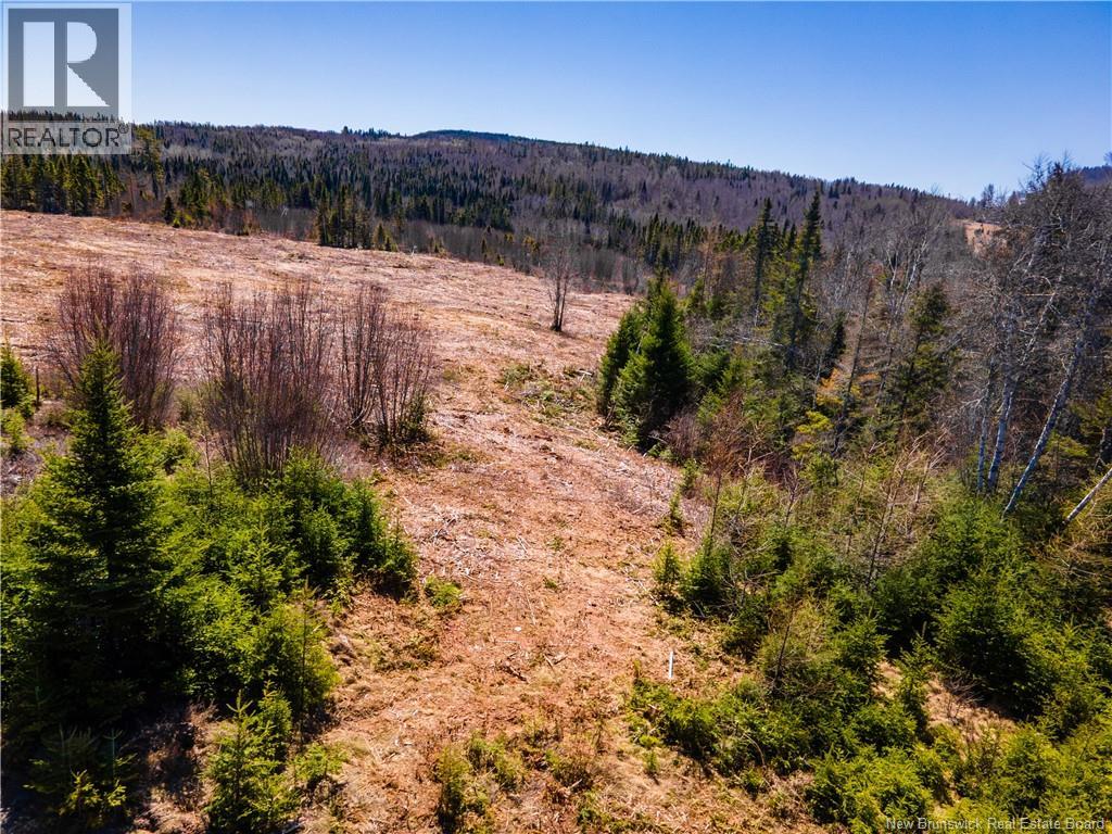 Lot Poodiac Road, Poodiac, New Brunswick  E4E 4H5 - Photo 8 - NB138158