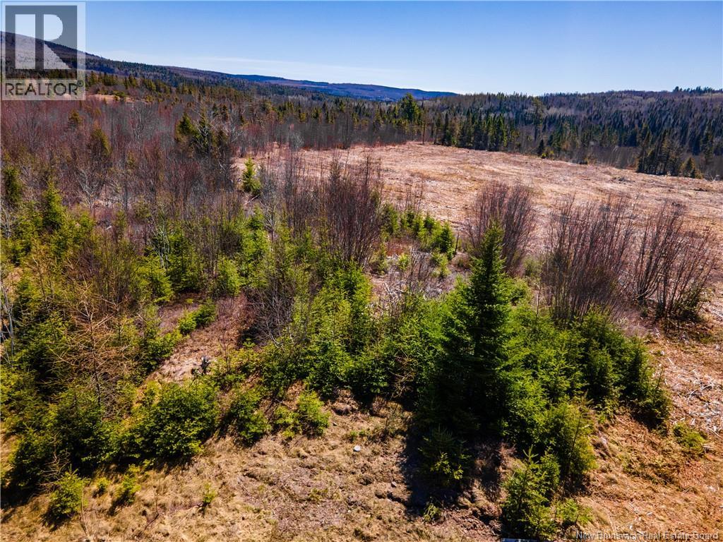 Lot Poodiac Road, Poodiac, New Brunswick  E4E 4H5 - Photo 9 - NB138158