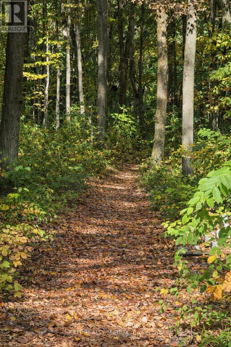 2191 Cassburn Road, Champlain, Ontario  K0B 1K0 - Photo 46 - X13057216