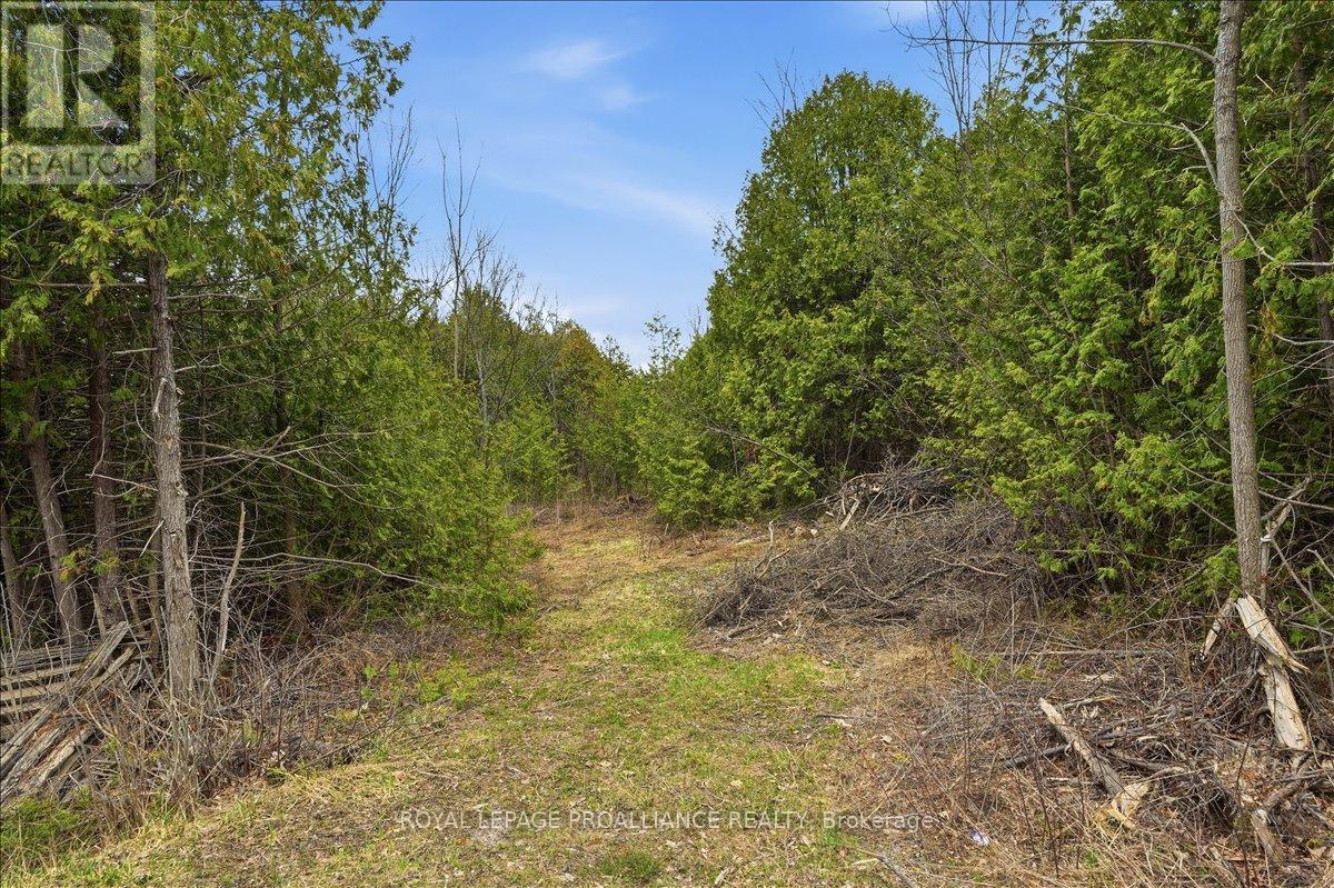 0 Quin Mo Lac Road, Tweed, Ontario  K0K 3J0 - Photo 2 - X12742024