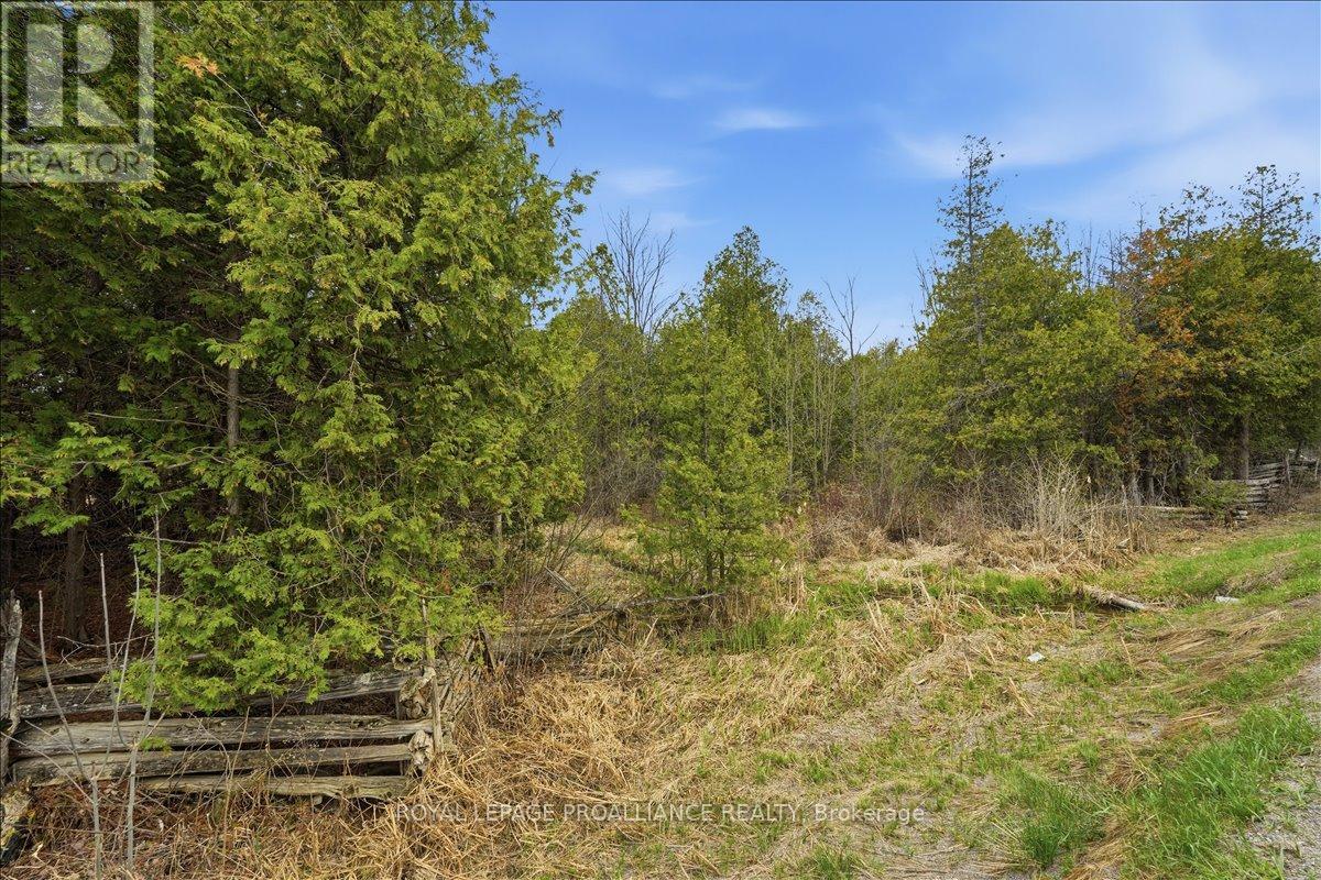 0 Quin Mo Lac Road, Tweed, Ontario  K0K 3J0 - Photo 1 - X12742024
