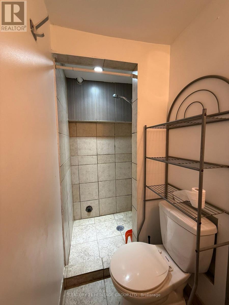 Bsmt - 430 Balkan Road, Richmond Hill (Crosby), Ontario  L4C 2P3 - Photo 18 - N13057420