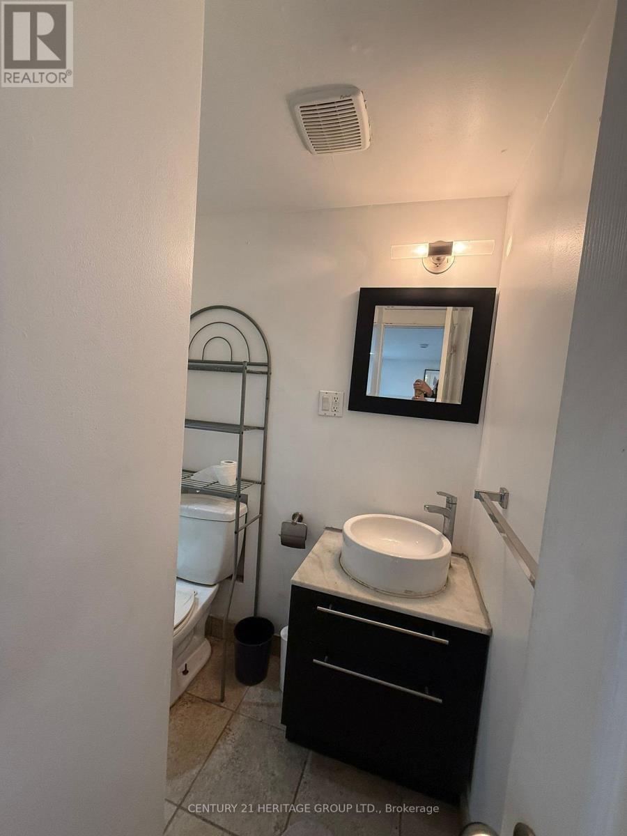 Bsmt - 430 Balkan Road, Richmond Hill (Crosby), Ontario  L4C 2P3 - Photo 19 - N13057420