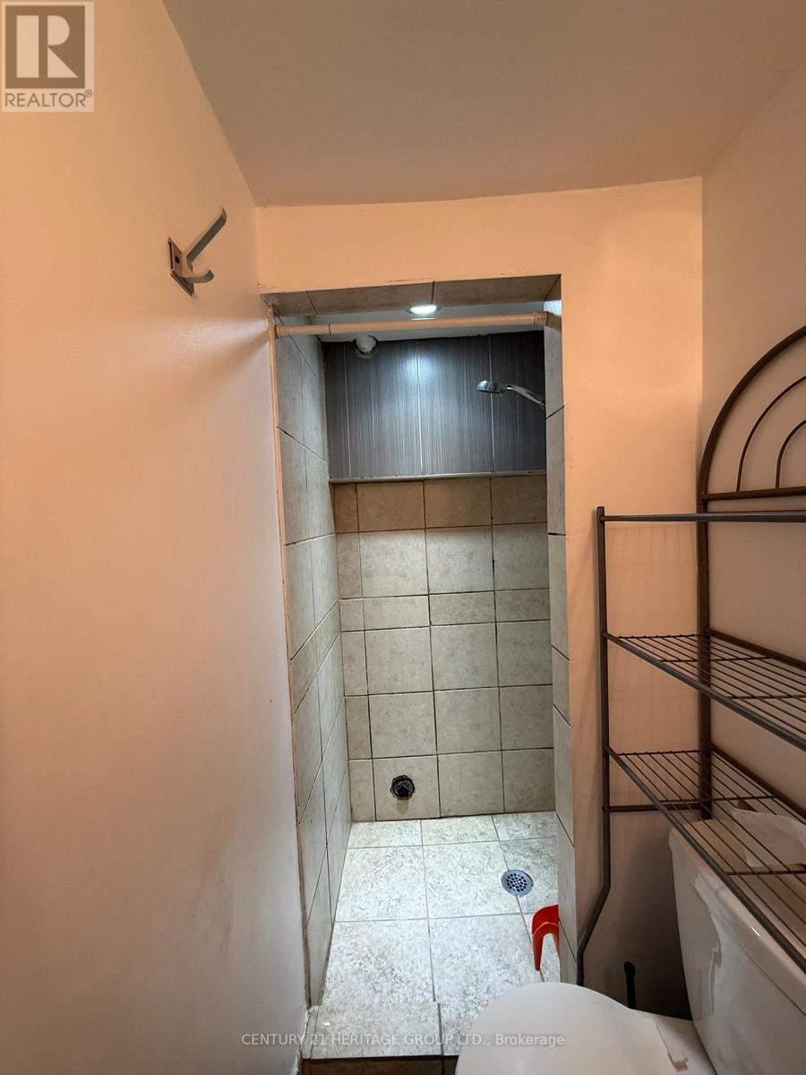 Bsmt - 430 Balkan Road, Richmond Hill (Crosby), Ontario  L4C 2P3 - Photo 20 - N13057420