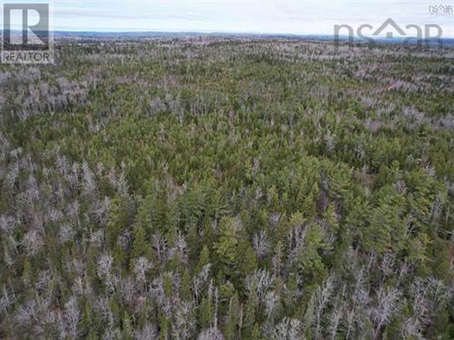 Baillie Lake Road, West Springhill, Nova Scotia  B0S 1A0 - Photo 10 - 202608943