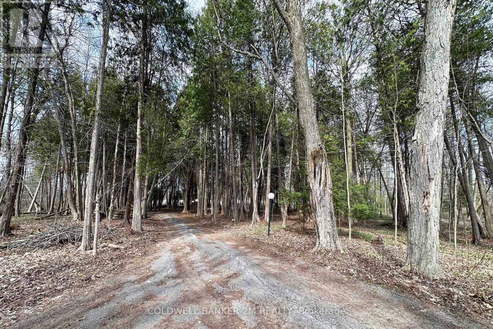 14900 Regional Rd 57, Scugog, Ontario  L0B 1B0 - Photo 2 - E13057682