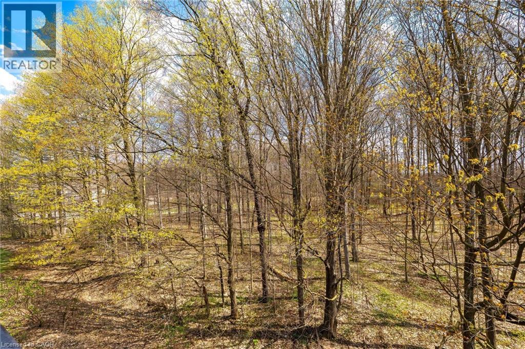 1989 S Ottawa Street S Unit# 27c, Kitchener, Ontario  N2E 0G7 - Photo 19 - 40825179