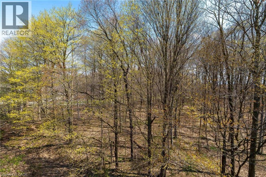 1989 S Ottawa Street S Unit# 27c, Kitchener, Ontario  N2E 0G7 - Photo 31 - 40825179