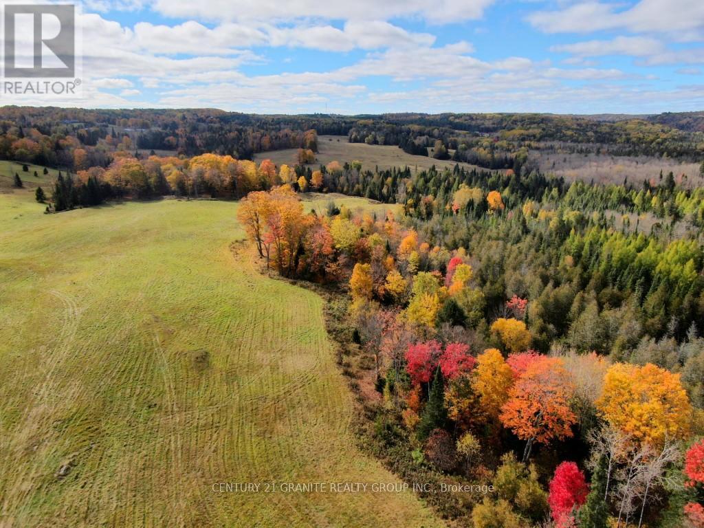 649 Detlor Road, Bancroft, Ontario  K0L 2L0 - Photo 11 - X13057746
