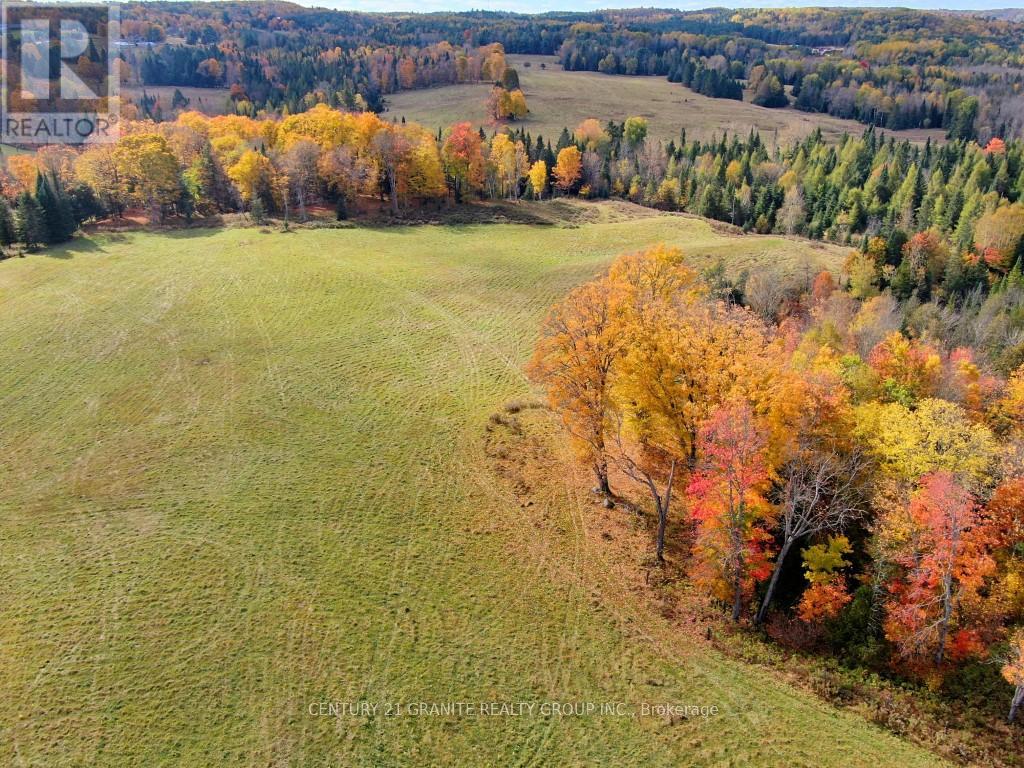 649 Detlor Road, Bancroft, Ontario  K0L 2L0 - Photo 13 - X13057746