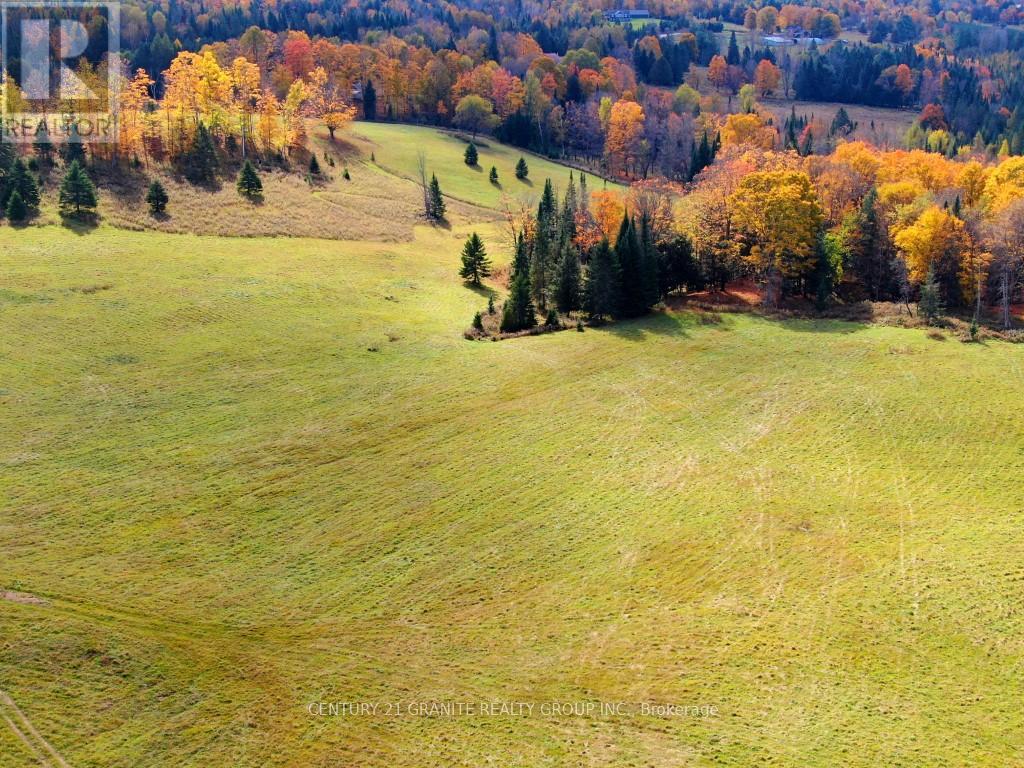 649 Detlor Road, Bancroft, Ontario  K0L 2L0 - Photo 14 - X13057746