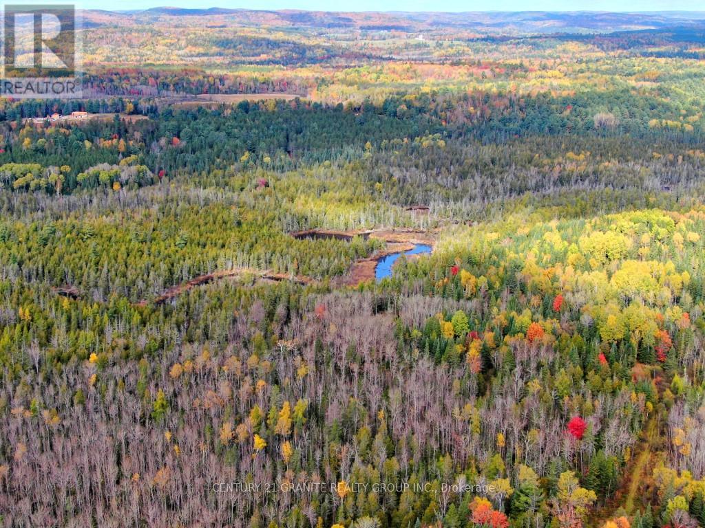 649 Detlor Road, Bancroft, Ontario  K0L 2L0 - Photo 15 - X13057746