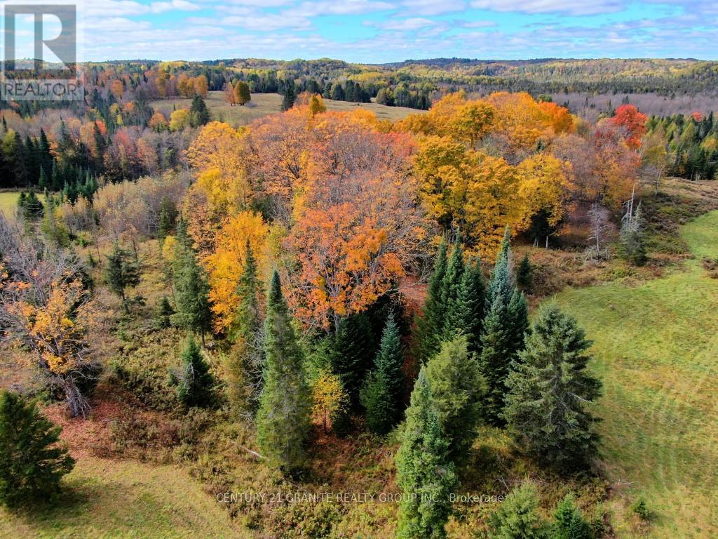 649 Detlor Road, Bancroft, Ontario  K0L 2L0 - Photo 17 - X13057746