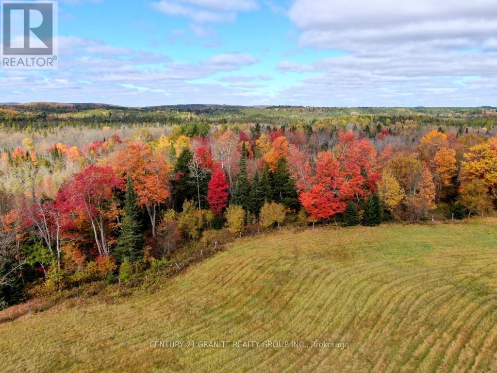649 Detlor Road, Bancroft, Ontario  K0L 2L0 - Photo 6 - X13057746