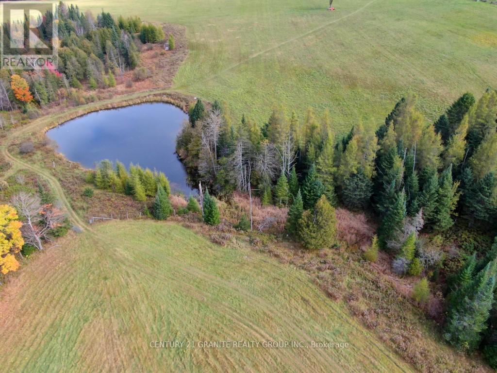 649 Detlor Road, Bancroft, Ontario  K0L 2L0 - Photo 7 - X13057746