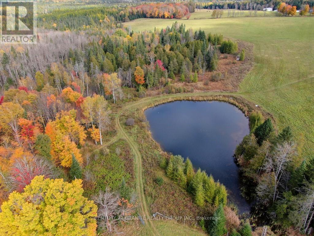649 Detlor Road, Bancroft, Ontario  K0L 2L0 - Photo 8 - X13057746