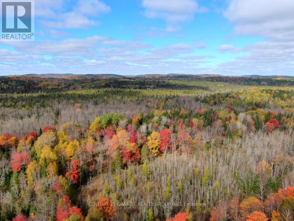 649 Detlor Road, Bancroft, Ontario  K0L 2L0 - Photo 9 - X13057746