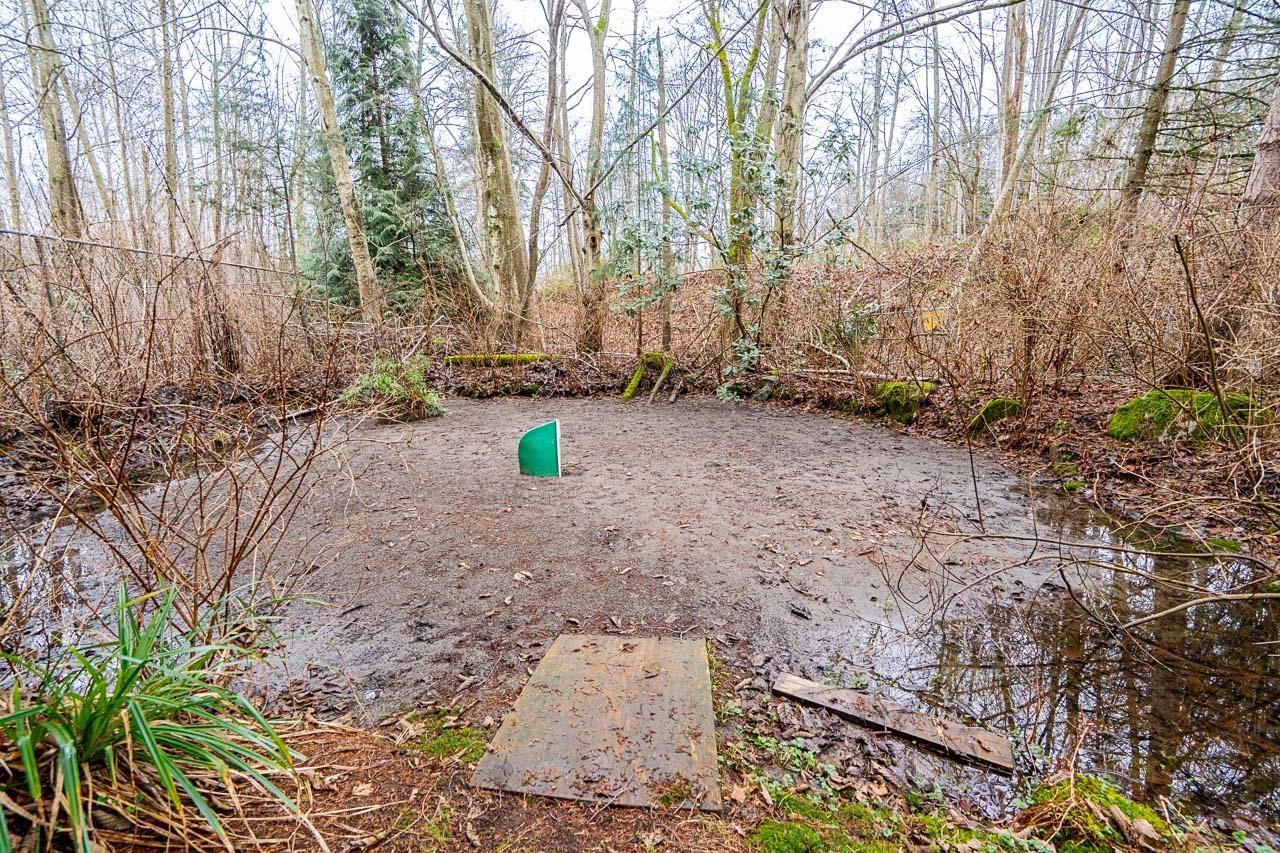 16114 20 Avenue, Surrey, British Columbia  V3Z 9M8 - Photo 32 - R3086415