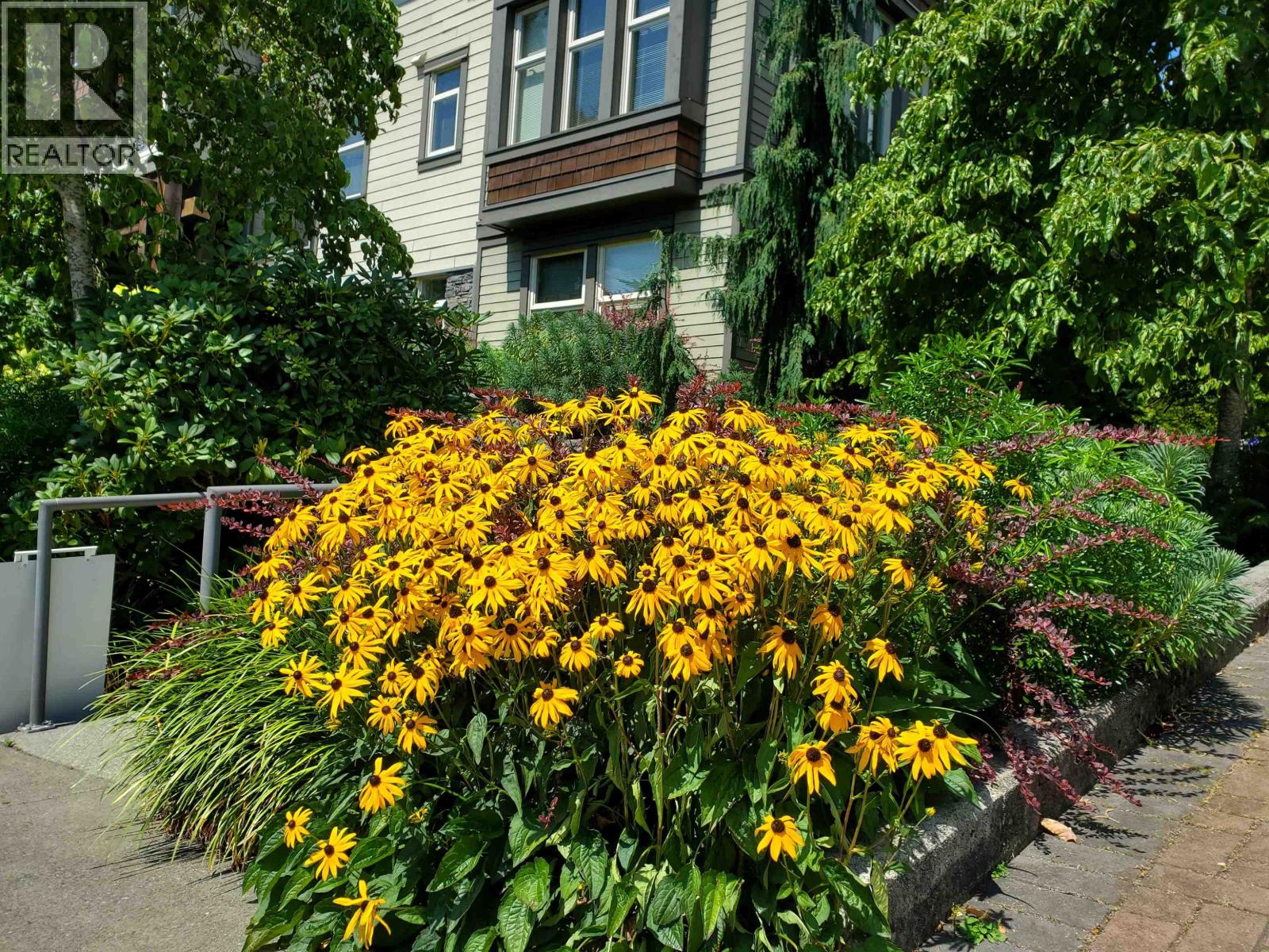 208 188 W 29 Street, North Vancouver, British Columbia  V7N 0A2 - Photo 33 - R3117235