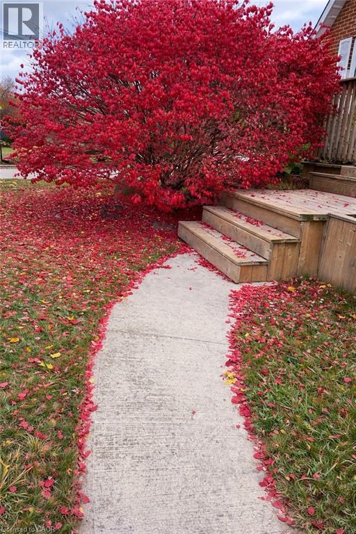 123 Fifth Avenue, Kitchener, Ontario  N2C 1P5 - Photo 47 - 40824682