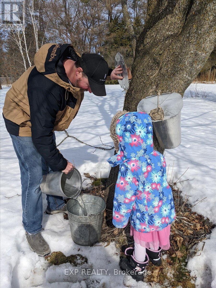 3749 Wallace Point Road, Otonabee-South Monaghan, Ontario  K9J 6Y3 - Photo 35 - X13056164