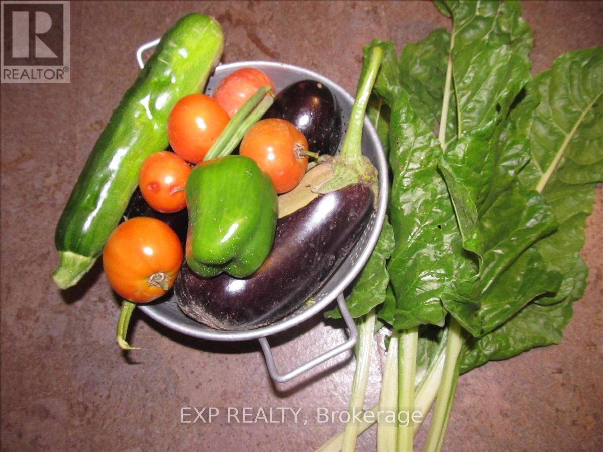 3749 Wallace Point Road, Otonabee-South Monaghan, Ontario  K9J 6Y3 - Photo 41 - X13056164