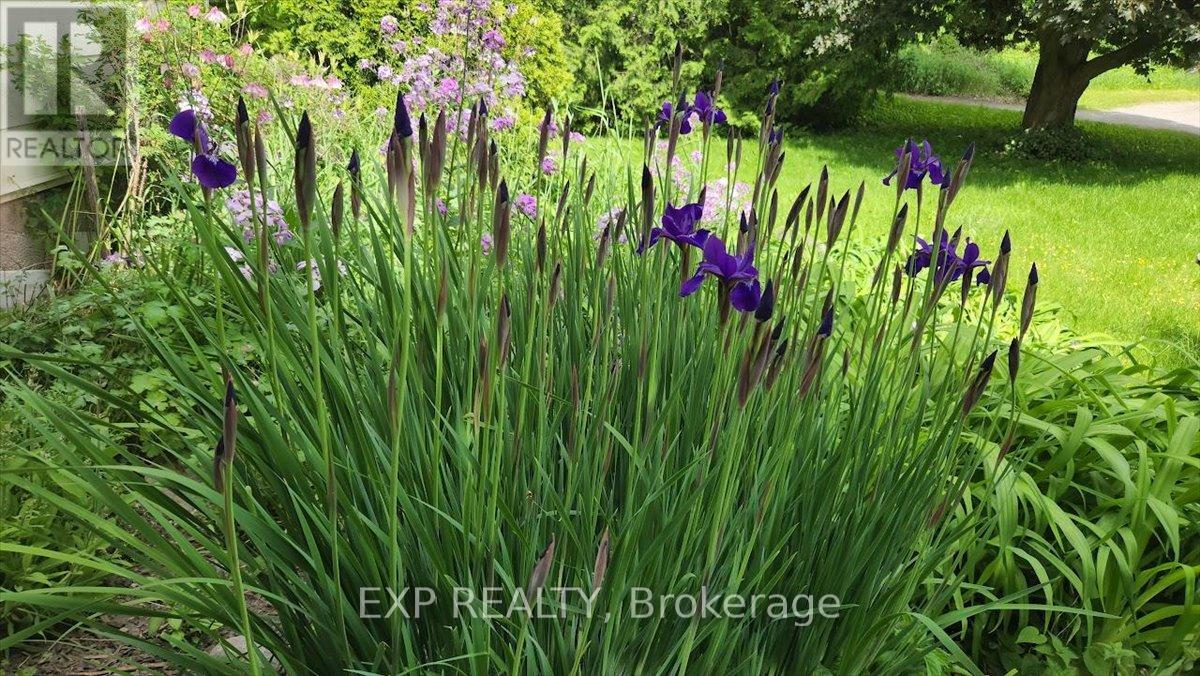 3749 Wallace Point Road, Otonabee-South Monaghan, Ontario  K9J 6Y3 - Photo 37 - X13056164